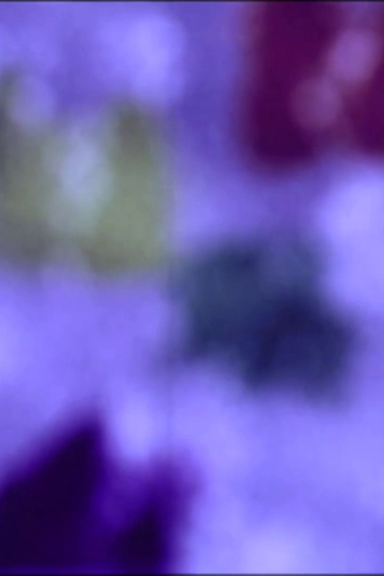 Imatge de Chromograms 3