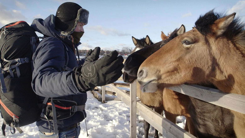 Still image for De helden van Arnout season 1 episode 1: Joseph Abbeel