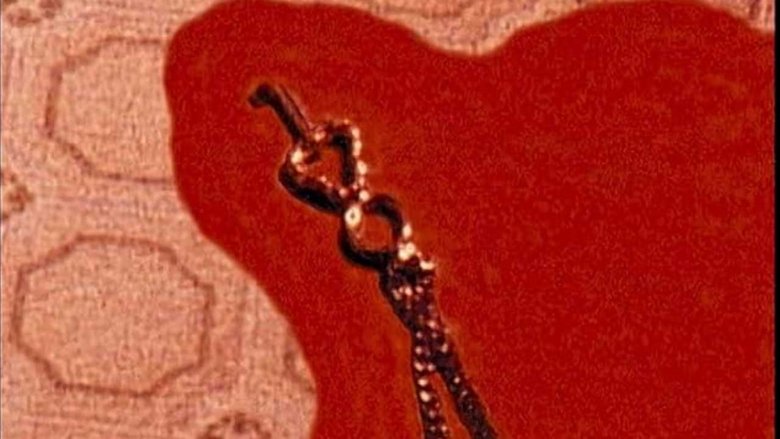 Bloody Muscle Body Builder in Hell (1995)