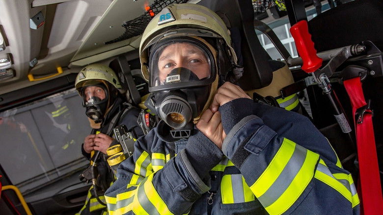 Serious traffic accident | Practice with poisonous animals for emergencies