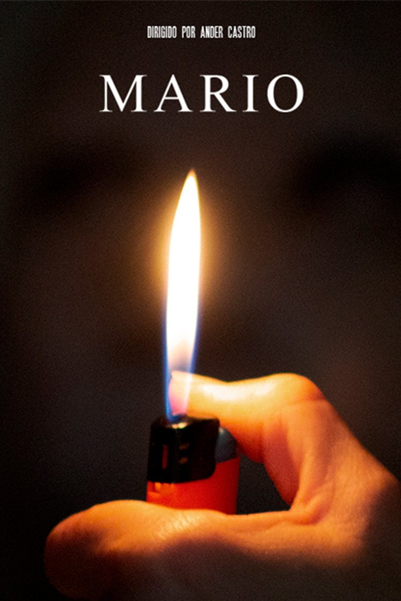 Mario main poster