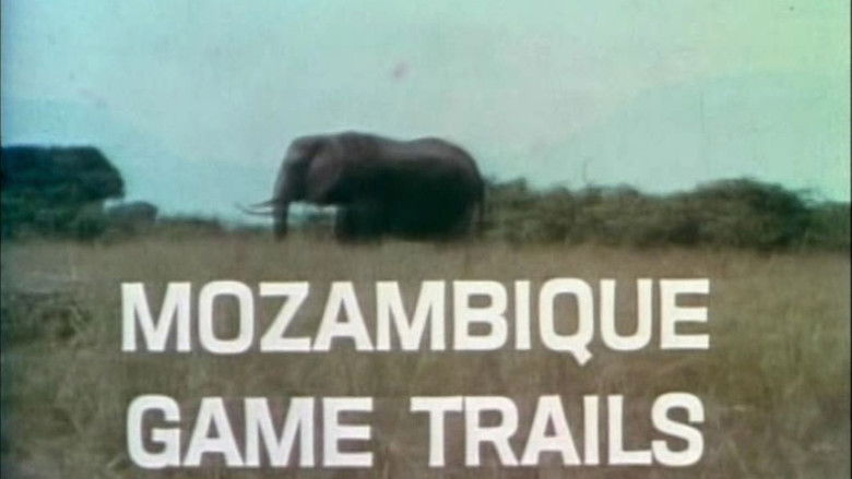 Still image for The Complete Fred Bear Collection season 1 episode 18: Mozambique Game Trails Still image for The Complete Fred Bear Collection season 1 episode 18: Mozambique Game Trails