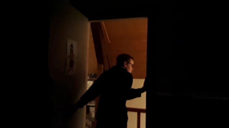 Attack of the Teddy's