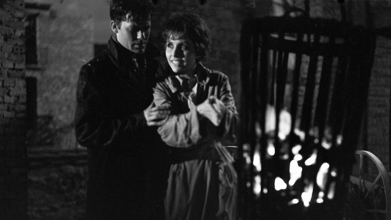 Gallery image from y6v542qkQGcqTHkBRuZjHItOlQU.jpg