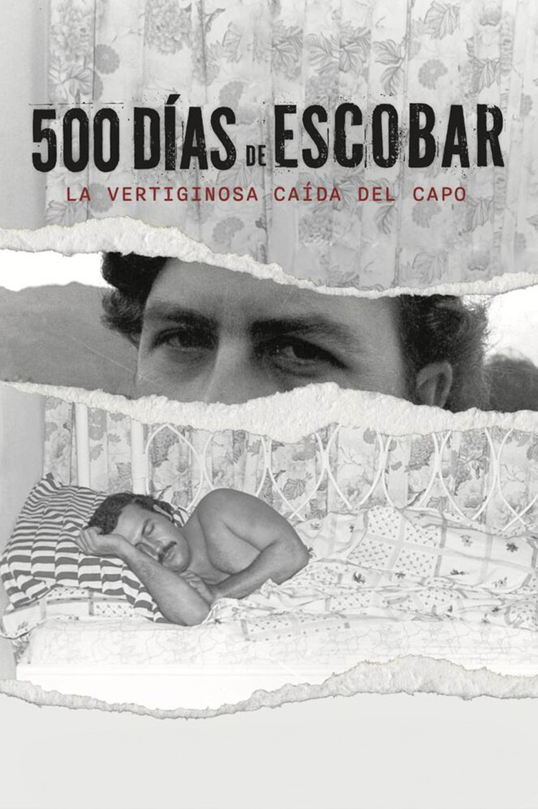 Póster la Película