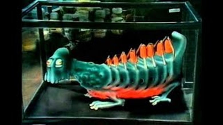 Gallery image from y7Nr3bI5jp7D8H68MA0gwxANS0i.jpg