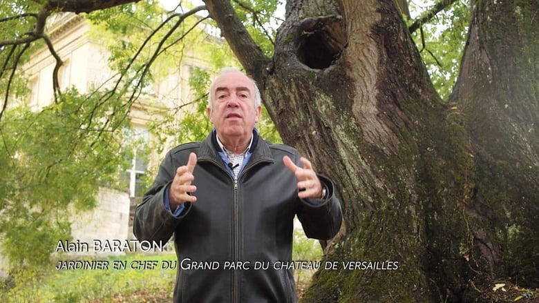 Les Arbres Remarquables, un patrimoine à protéger (2019)