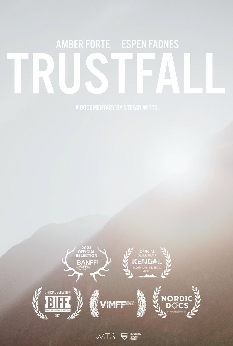 Affiche ou illustration — Trustfall