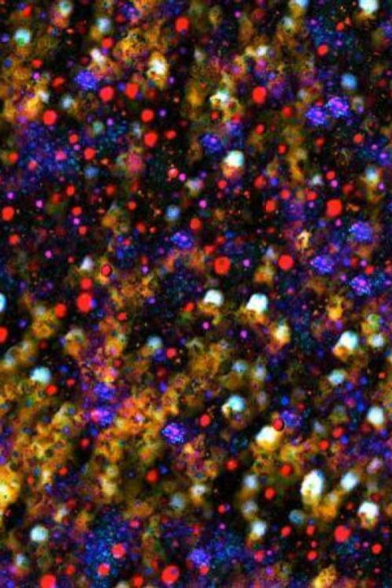 Imatge de There must be some kind of way out of here