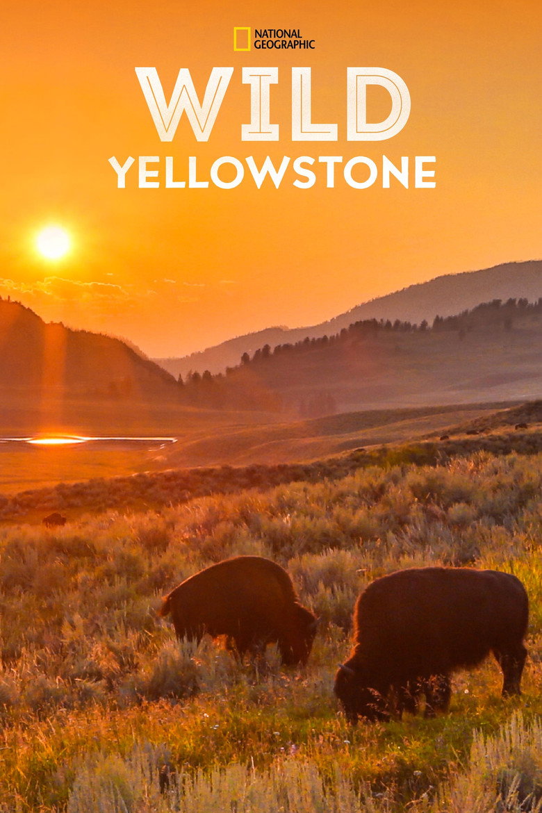 Wild Yellowstone: Fire And Ice background