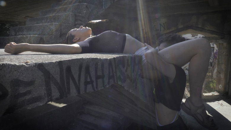 Image d'arrière-plan 2 du film Levidis