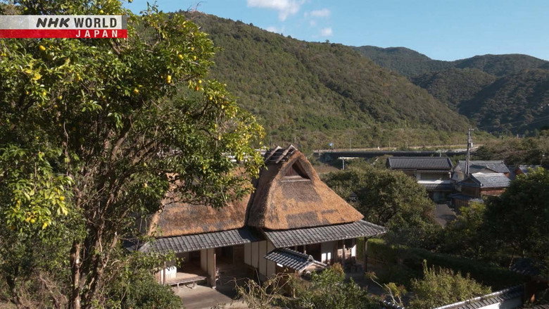 Suppai: The Secrets of Japan's Sour Treats