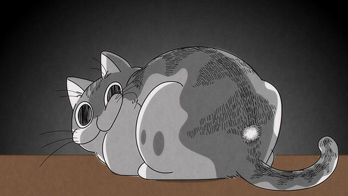 Still image for Nights with a Cat season 1 episode 11: Night 11: Gentle Cat Punches