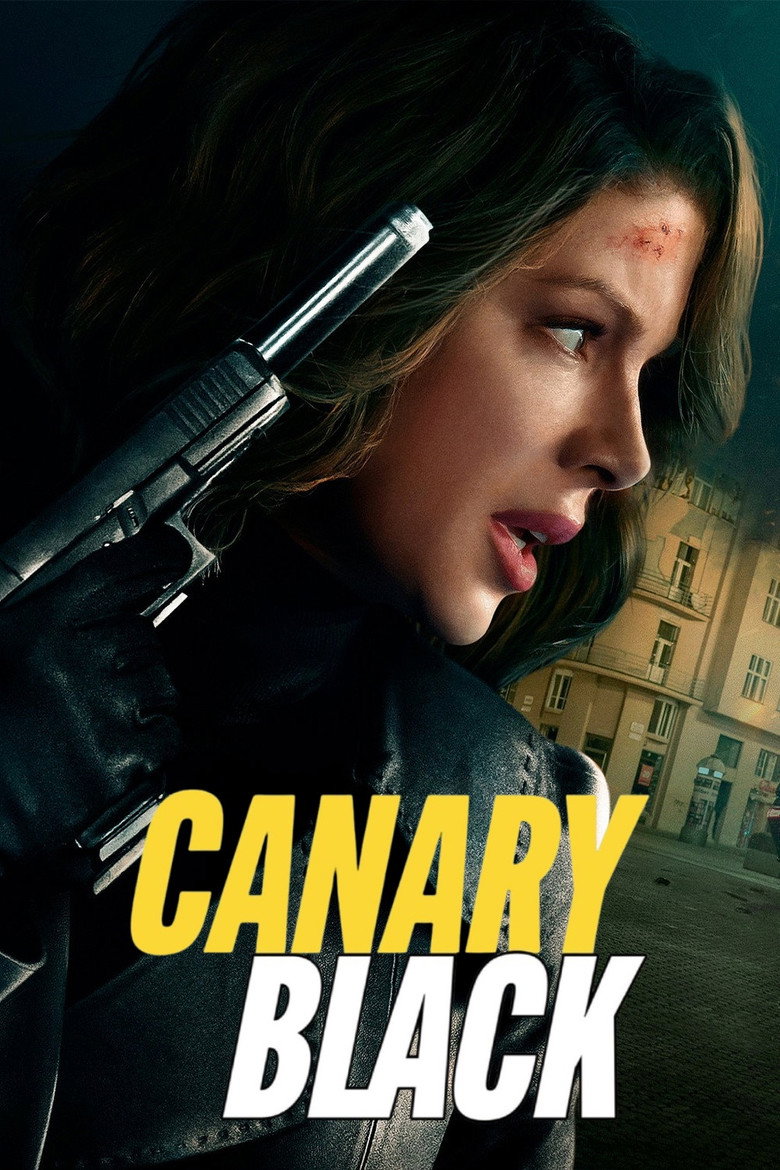 Póster la Película