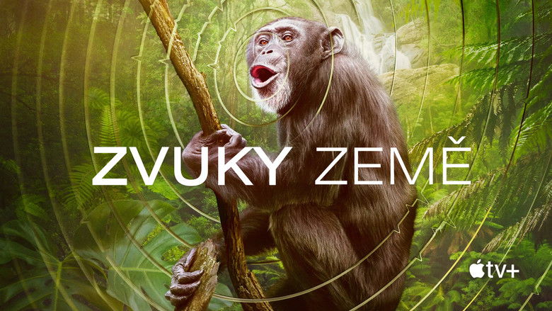 Gallery image from yAYtm1dmhQ2Imc4w8aq1xq0AIRe.jpg