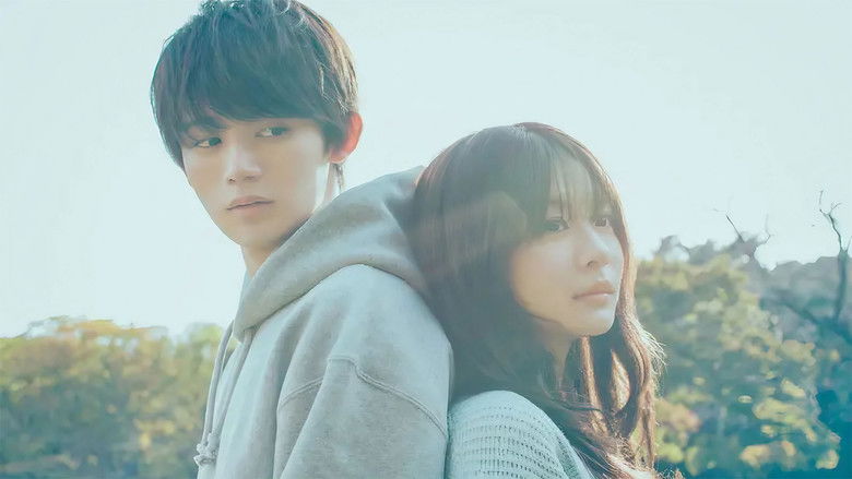 Love Unseen Beneath the Clear Night Sky backdrop 1