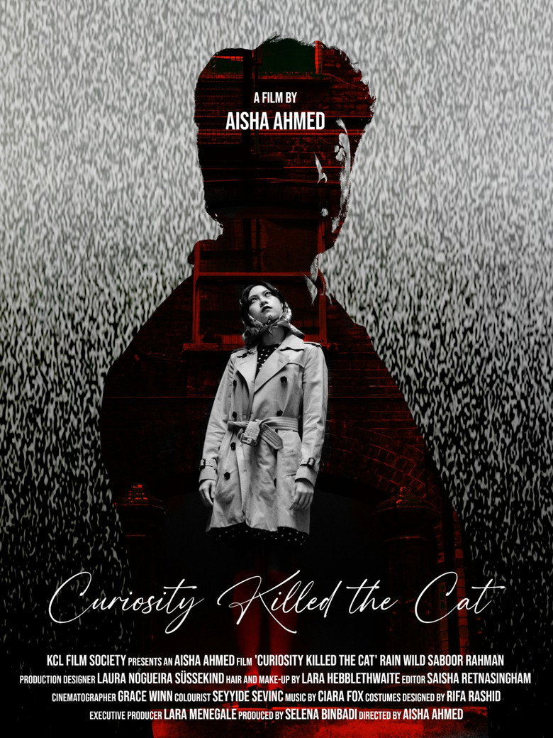 Curiosity Killed the Cat poster
