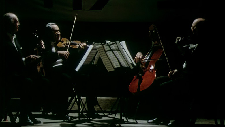 Gallery image from yBrX9rDzWn43Yu9ZHcWK4ddr3Fc.jpg