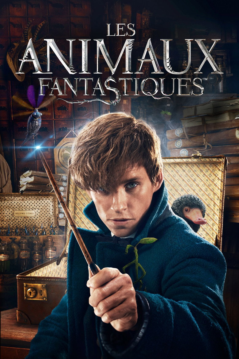 Póster la Película