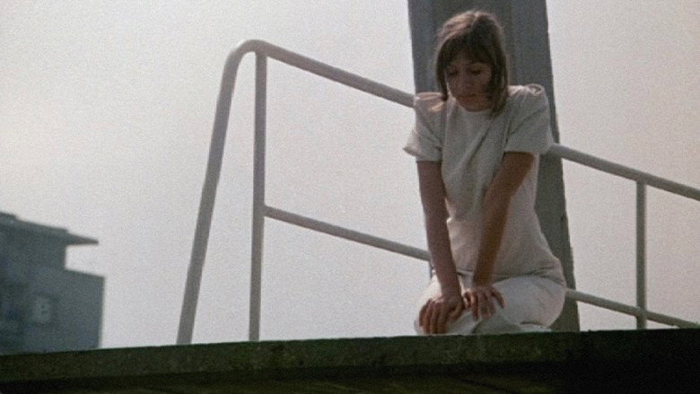 The Swimming Pool image 2