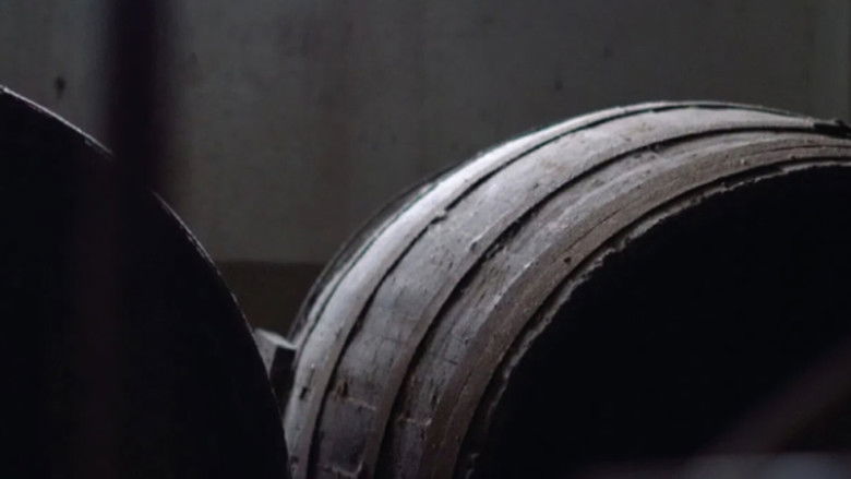 Gallery image from yCcLTjH5wdZNk73KwKu1pw75EHU.jpg