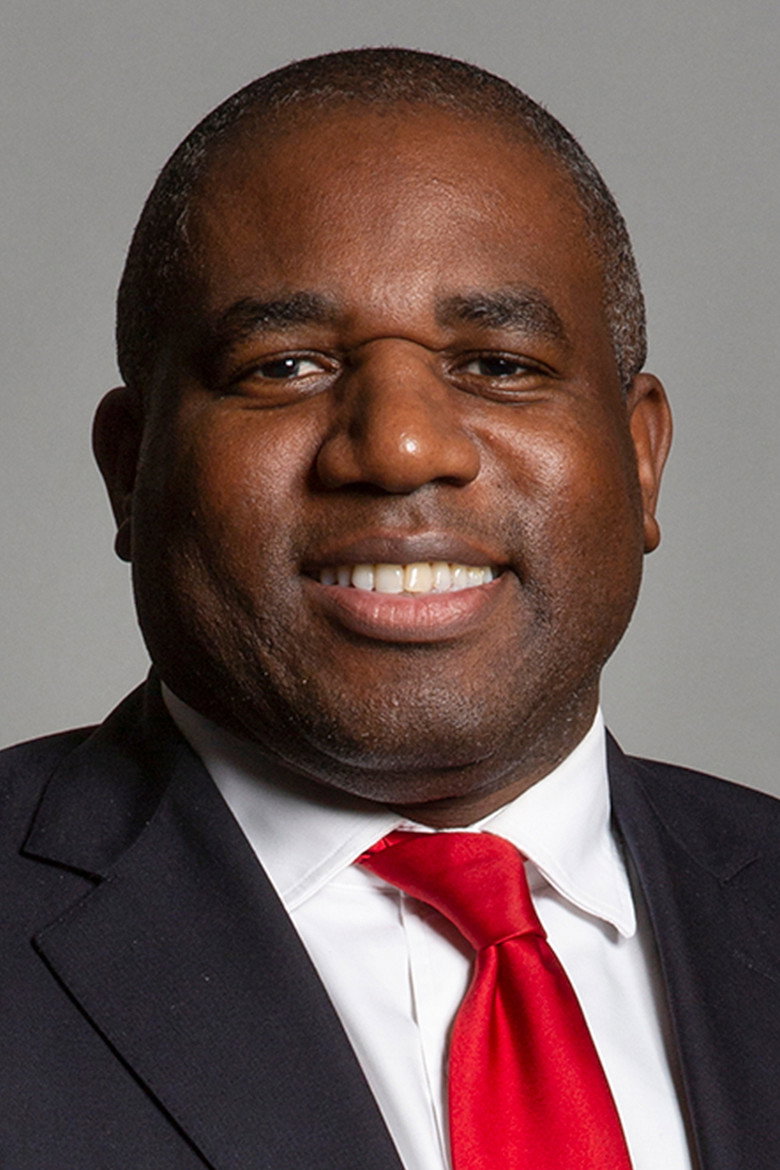 David Lammy portrait