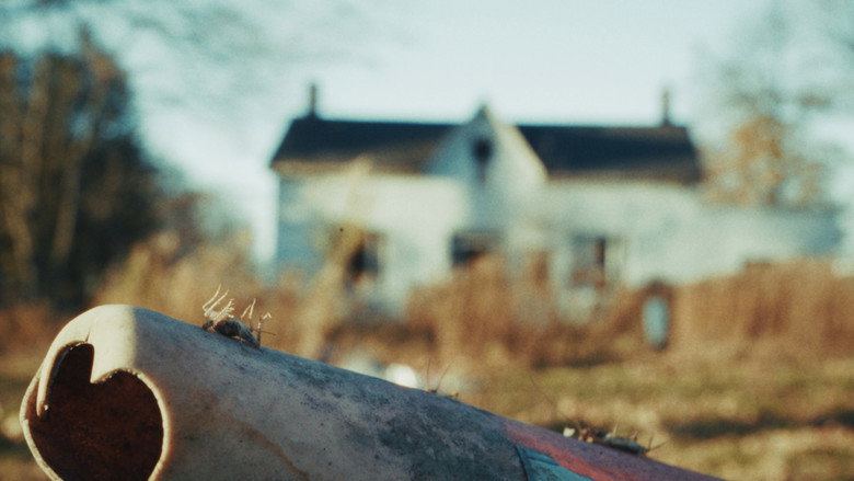 Imatge de Back to the Old House