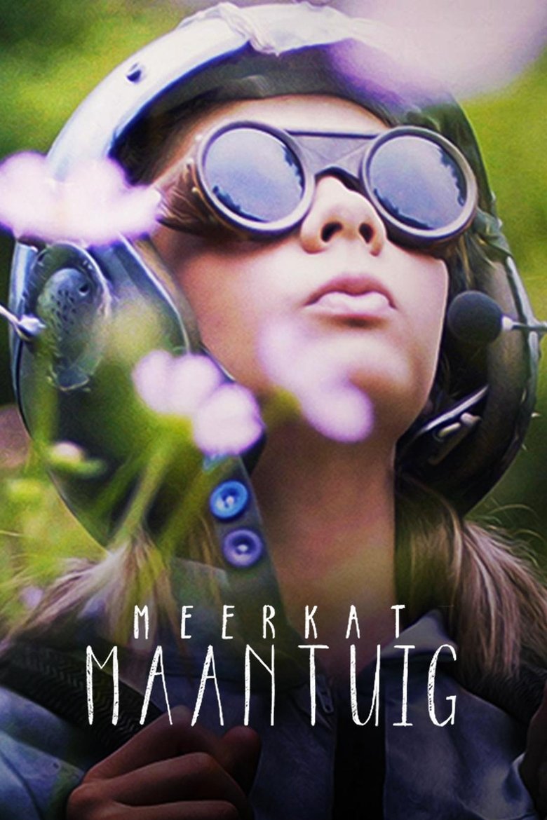 Meerkat Moonship main poster
