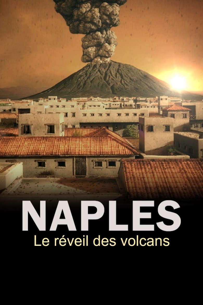 The Next Pompeii? main poster