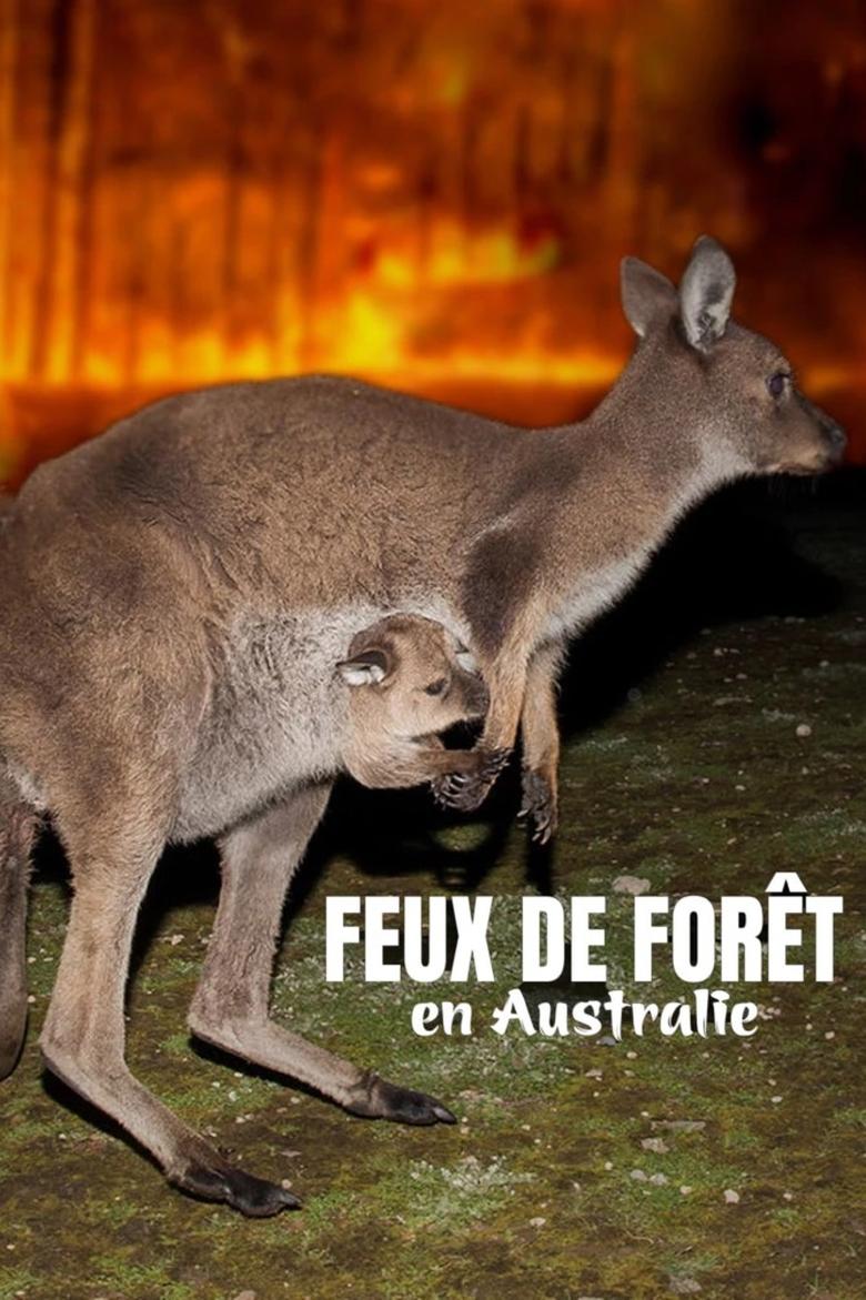 Bushfire Animal Rescue main poster