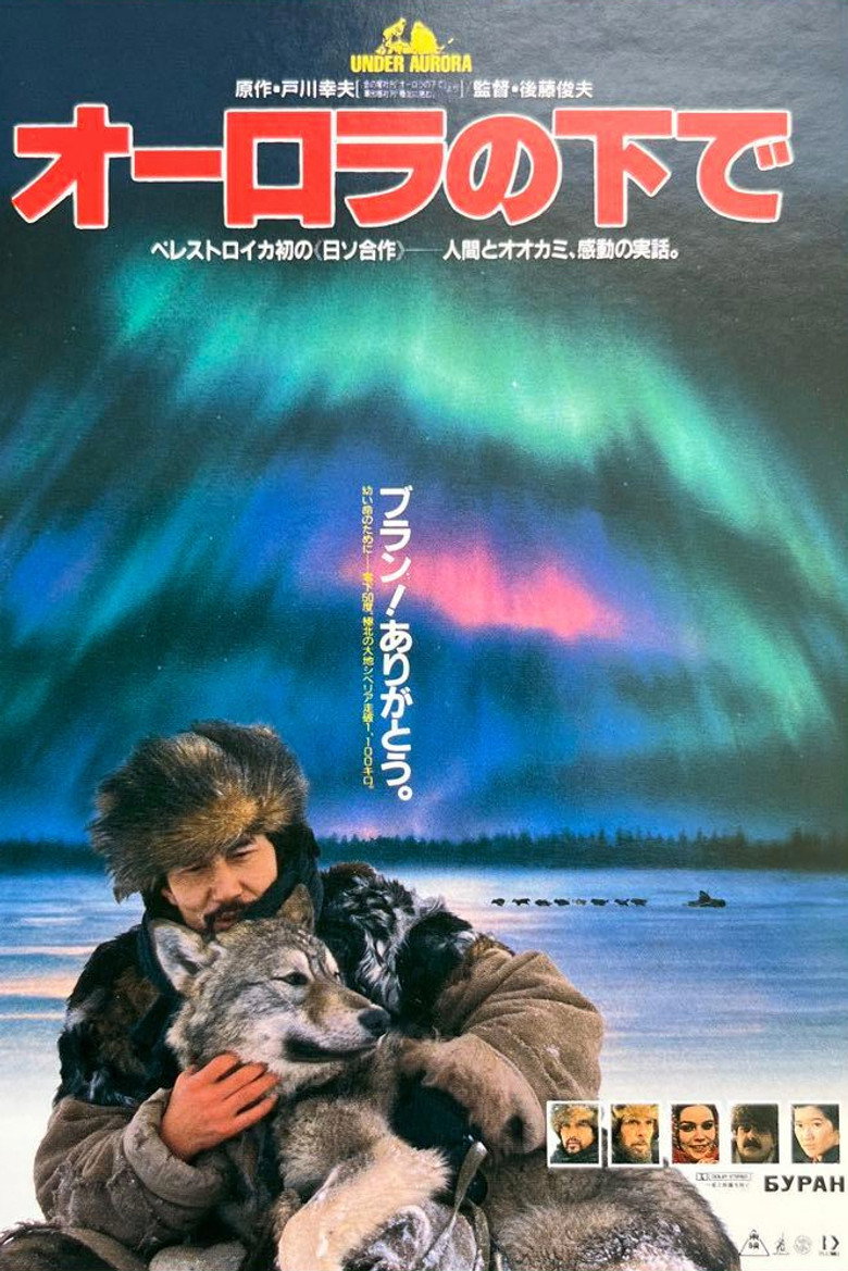 Aurora Borealis — image 7