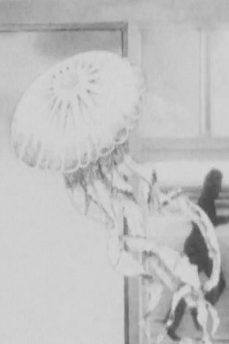 The Jellyfish (1973)