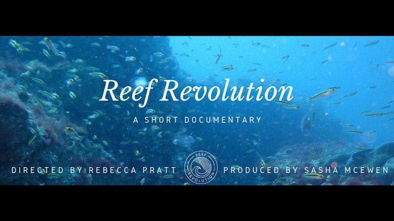 Reef Revolution galeri 1