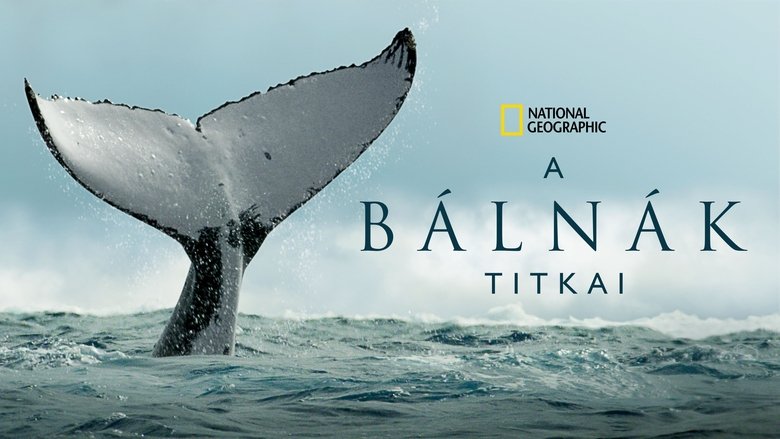 Gallery image from yHDB1PjFHBLf3WY18B0i5DMFkbs.jpg