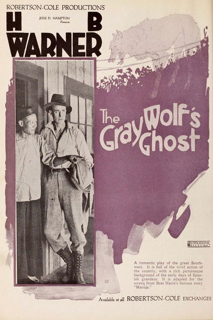 The Gray Wolf's Ghost (1919)