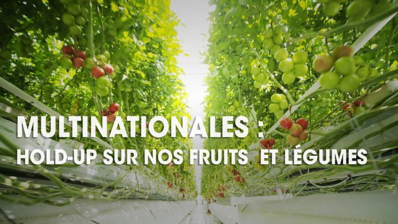 Multinationales : hold-up sur nos fruits et légumes görsel 2
