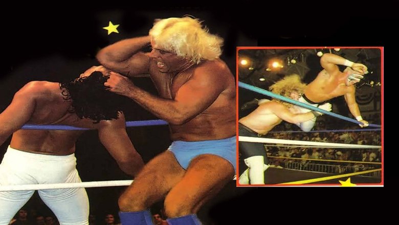 NWA The Great American Bash '89: The Glory Days backdrop