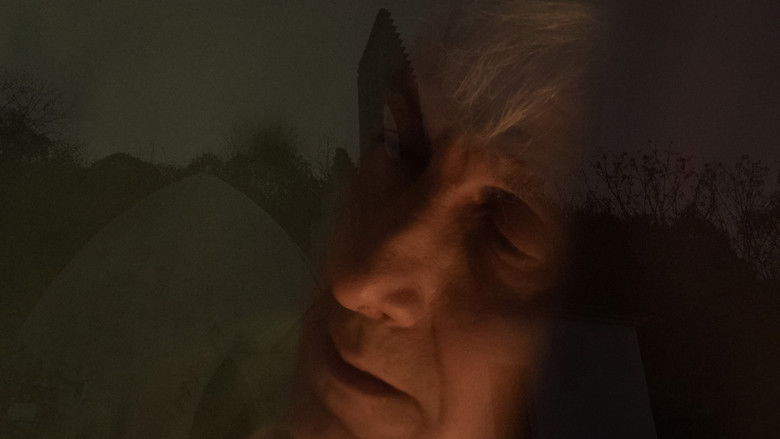 Image d'arrière-plan 3 du film Luz Eterna