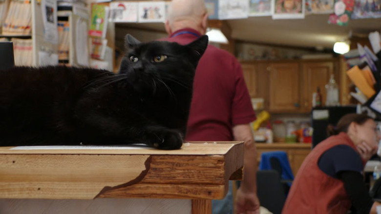 Still from The Incredible Dr. Pol - Season 24 Episode 4