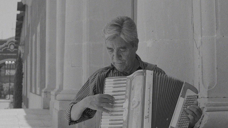 Imatge de The time for the past