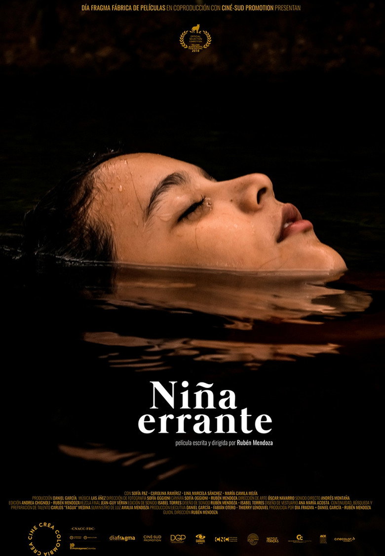 Imagen de Niña errante