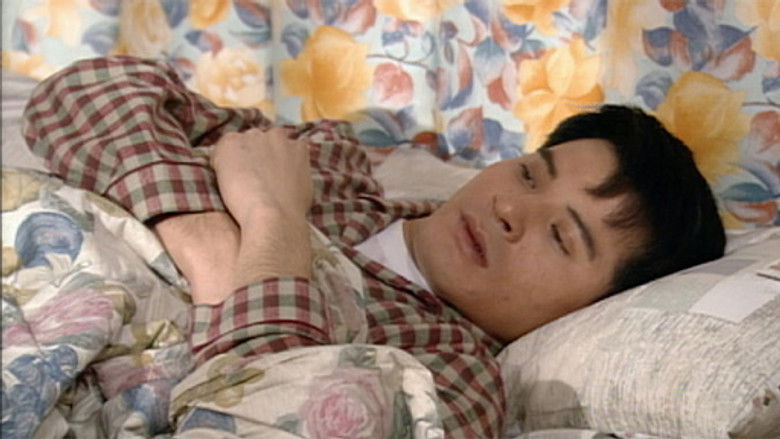 真情 Temporada 1 Episodio 244 Cuevana 3