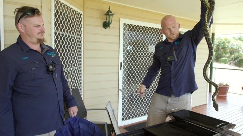 Still image for Aussie Snake Wranglers season 1 episode 15: Python Spectacular Still image for Aussie Snake Wranglers season 1 episode 15: Python Spectacular