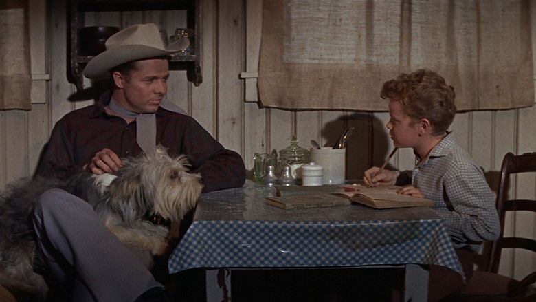 Image d'arrière-plan 5 du film L'Étoile brisée