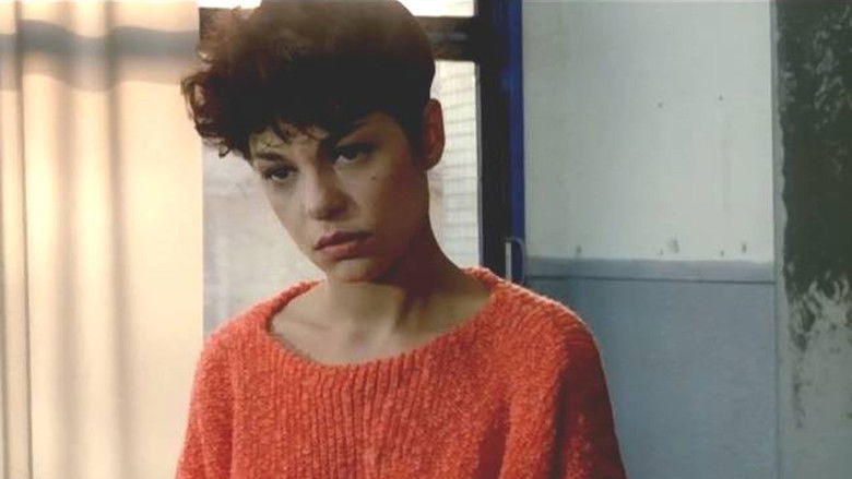 Imatge de P.R.O.F.S.