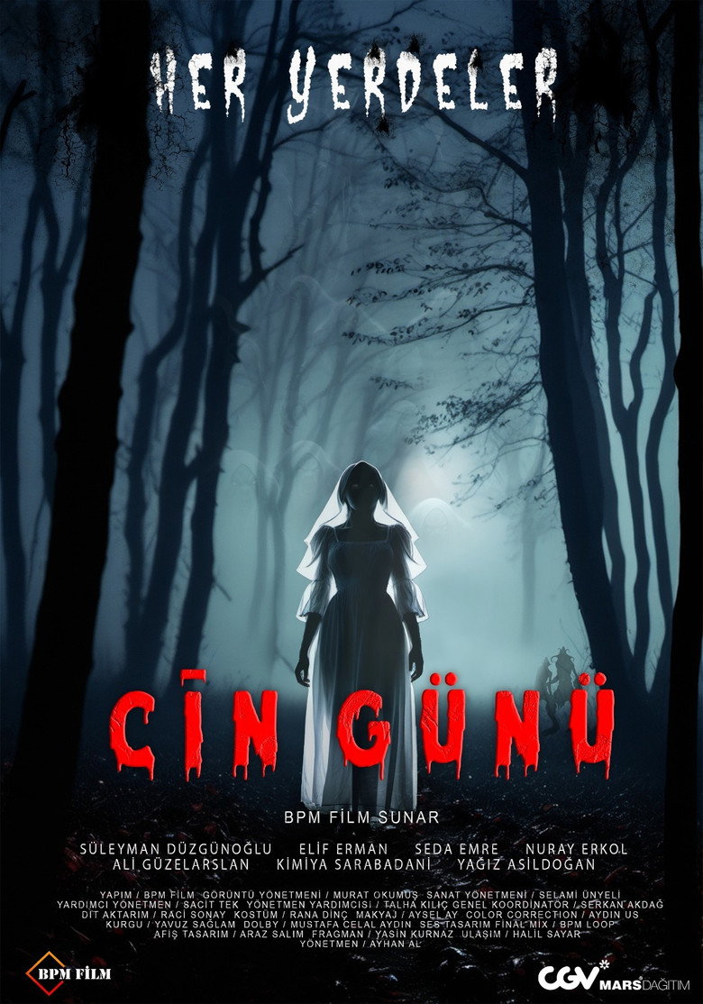 Imatge de Cin Günü