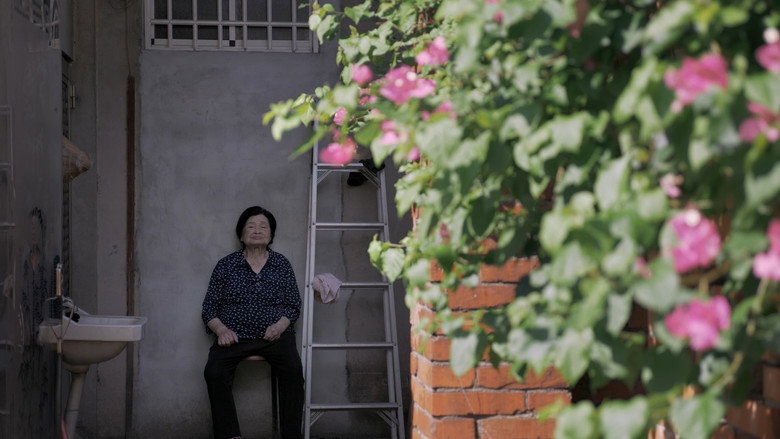 Imatge de 屋舍上的葉仔花