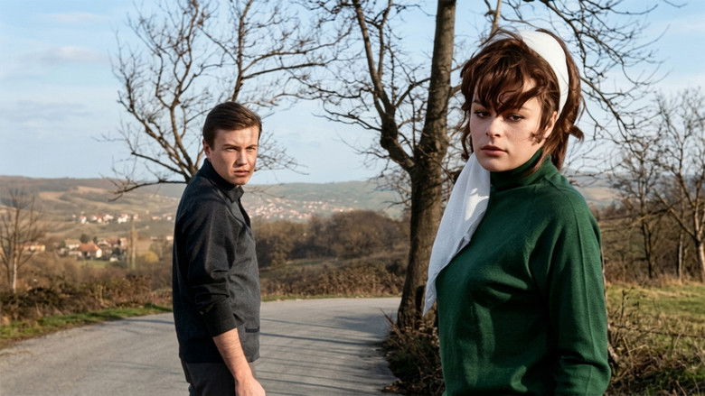 Image d'arrière-plan 4 du film Yıldızların Altında