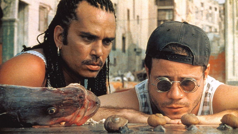 Image d'arrière-plan 1 du film La vida es silbar