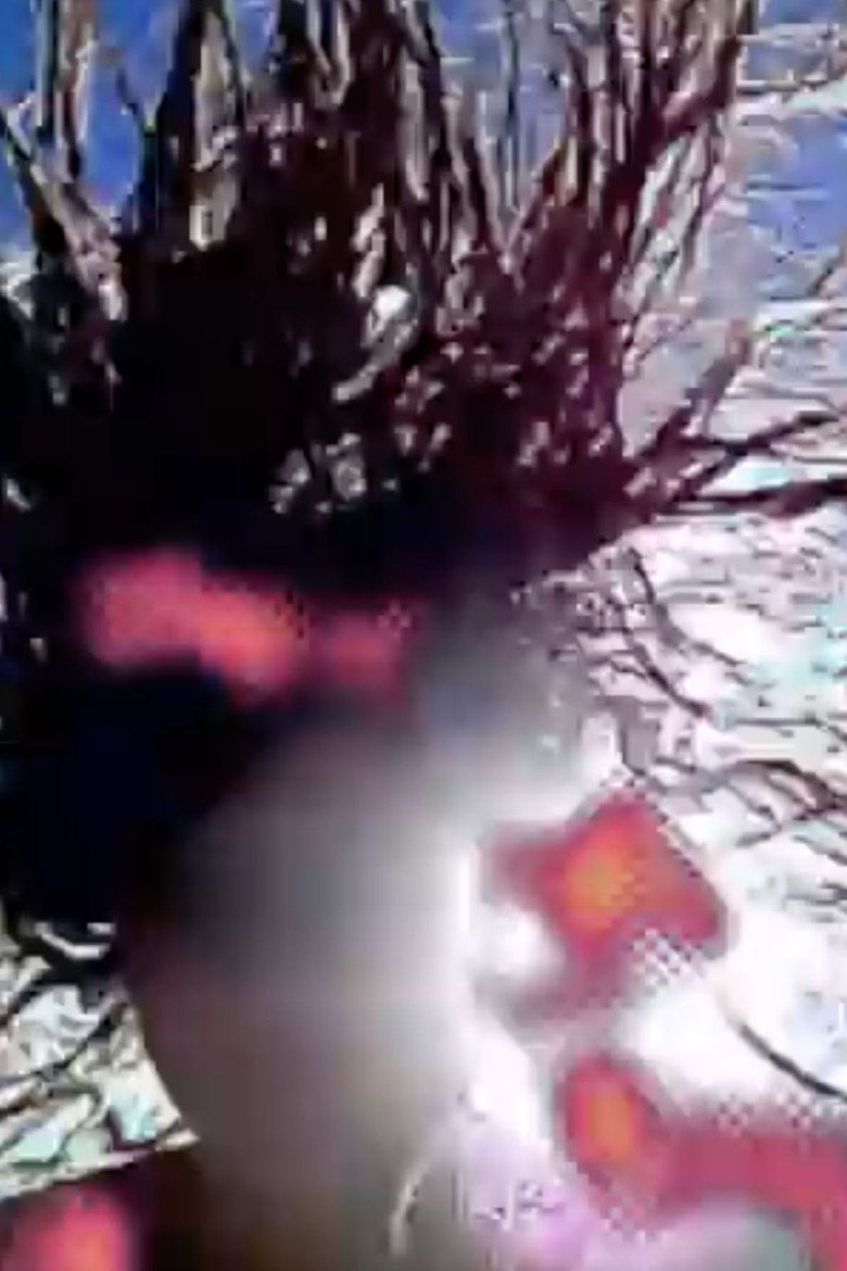 Imatge de water ball p ?